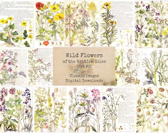Wild Flowers of the British Isles Set #1 - Digital Ephemera, Printable Images, Vintage Art, Instant Download, Digital Collage, Book Pages