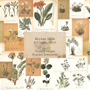 Alpine 1884 ATC Cards, Set #1 - Digital Ephemera Classics, Printable Images, Vintage Art, Digital Collage, Art Ephemera