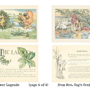 Flower Legends - Digital Ephemera Classics, Digital Images, Vintage Art, Digital Collage, Art Ephemera, Vintage Illustrations image 5