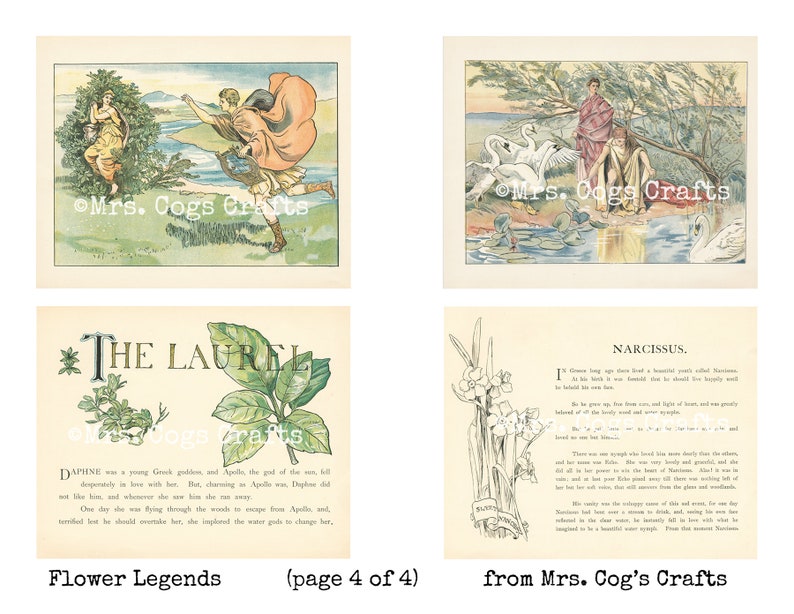 Flower Legends - Digital Ephemera Classics, Digital Images, Vintage Art, Digital Collage, Art Ephemera, Vintage Illustrations image 5