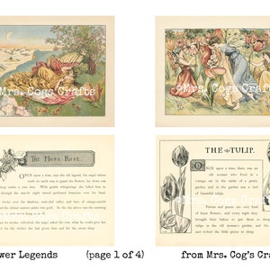 May include: Four vintage illustrations of flowers with accompanying text. The first image shows a woman sleeping under a rose bush. The second image shows fairies gathered around a tulip. The third image shows a rose with text about the Moss Rose. The fourth image shows a tulip with text about the Tulip.