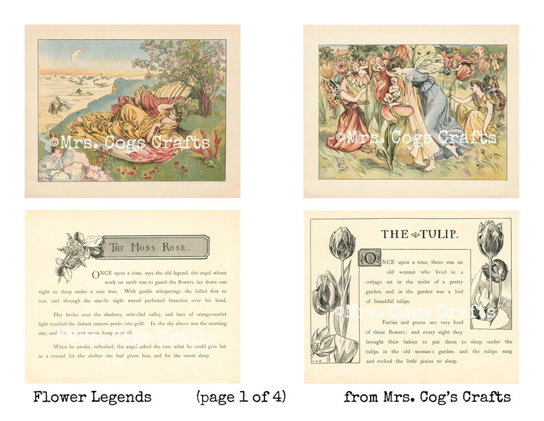 May include: Four vintage illustrations of flowers with accompanying text. The first image shows a woman sleeping under a rose bush. The second image shows fairies gathered around a tulip. The third image shows a rose with text about the Moss Rose. The fourth image shows a tulip with text about the Tulip.