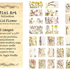 Mini Art  - Wild Flower Snippets - Set #4 , Printable Images, Digital Download, Ephemera, Vintage Images, Embellishments