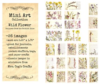 Mini Art  - Wild Flower Snippets - Set #4 , Printable Images, Digital Download, Ephemera, Vintage Images, Embellishments