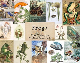 Frogs - Digital Ephemera Classics, Digital Images, Vintage Art, Instant Download, Digital Collage, Art Ephemera