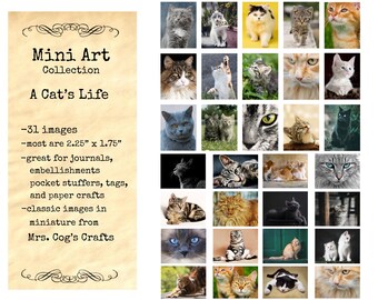 Mini Art - A Cat's Life - Printable Images, Digital Download, Miniature Images, Photo Images, Embellishments, Cat Images