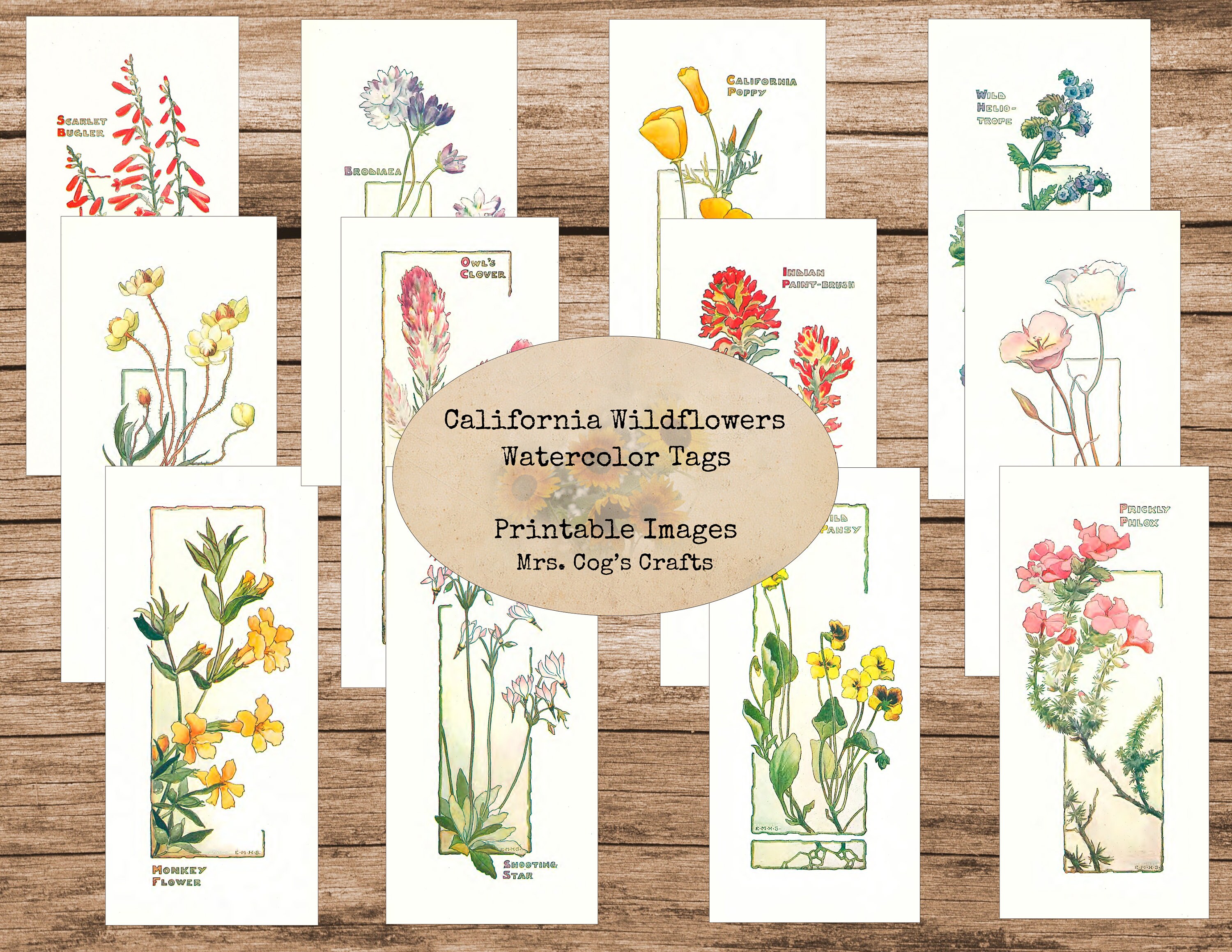 California Wildflowers Watercolor Tags Bookmarks | Etsy