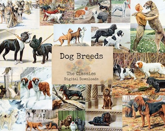 Dog Breeds - Digital Classics, Printable Images, Vintage Art, Instant Download, Digital Collage, Art Ephemera, Dog Images