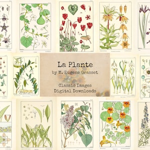 La Plante by M. Eugene Grasset - Digital Ephemera, Printable Images, Vintage Art, Instant Download, Digital Collage, Book Pages