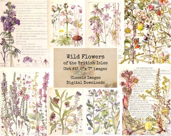 Wild Flowers of the British Isles Set #3- 5x7 inches, Ephemera, Printable Images, Vintage Art, Instant Download, Digital Collage, Book Pages