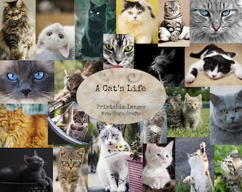 A Cat's Life - Printable Images, Digital Ephemera, Vintage Art, Instant Download, Digital Paper, Digital Collage, Cat Images