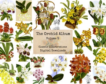 The Orchid Album, Volume 1 - Digital Ephemera Classics, Digital Images, Vintage Art, Digital Collage, Art Ephemera