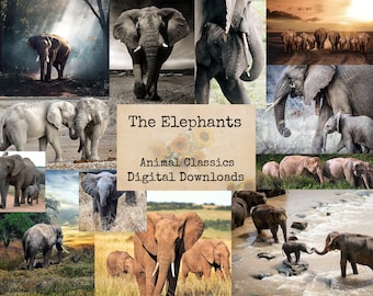 The Elephants - Digital Ephemera Classics, Digital Images, Vintage Art, Instant Download, Digital Collage, Art Ephemera, Elephants