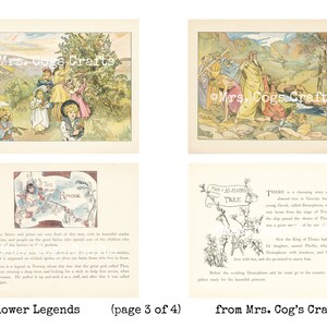 May include: A vintage illustration of a story about the almond tree. The illustration is in black and white and features a tree with flowers and a scroll with the words "The Almond Tree". The text below the illustration tells a story about a young Greek called Demophon, who was on his way home from the siege of Troy, but his ship was passed by the shores of Thrace, where the great oracle of the war of Thrace, there lived with her, Demophon, and promised to marry him.