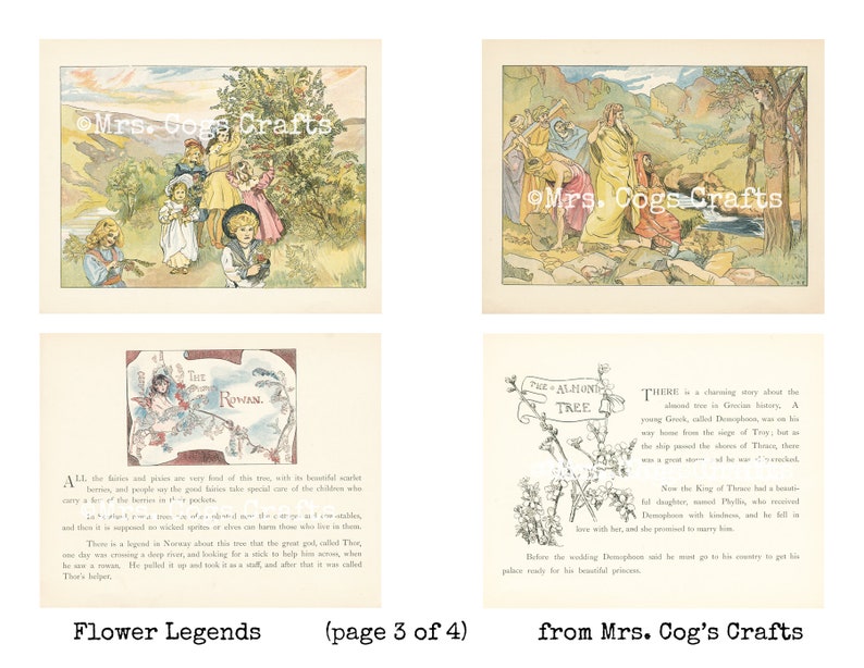 May include: A vintage illustration of a story about the almond tree. The illustration is in black and white and features a tree with flowers and a scroll with the words "The Almond Tree". The text below the illustration tells a story about a young Greek called Demophon, who was on his way home from the siege of Troy, but his ship was passed by the shores of Thrace, where the great oracle of the war of Thrace, there lived with her, Demophon, and promised to marry him.