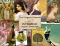 The Elegant Peacock - Digital Ephemera Classics, Digital Images, Vintage Art, Instant Download, Digital Paper, Digital Collage