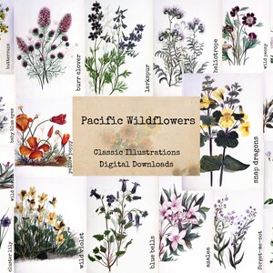 Pacific Wildflowers - Digital Ephemera Classics, Digital Images, vintage Art, Digital Collage, Art Ephemera