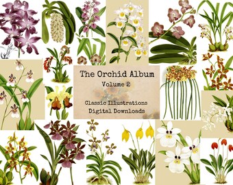 Die Orchidee Album, Band 2 - digitale Ephemera Klassiker, digitale Bilder, Vintage-Kunst, digitale Collage, Kunst Ephemera