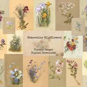 Aquarelle Wildflowers - Digital Ephemera Classics, Images imprimables, art vintage, collage numérique, Art Ephemera