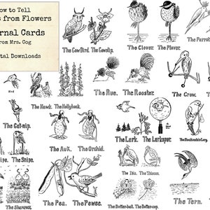 How to Tell Birds from Flowers - Journal Cards - Digital Images, Vintage Art, Instant Download, Digital Collage, Ephemera, Printable Cards