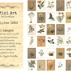Mini Art - Alpine 1884 , Printable Images, Digital Download, Miniature Images, Collage Sheet, Ephemera, Vintage Images, Embellishments