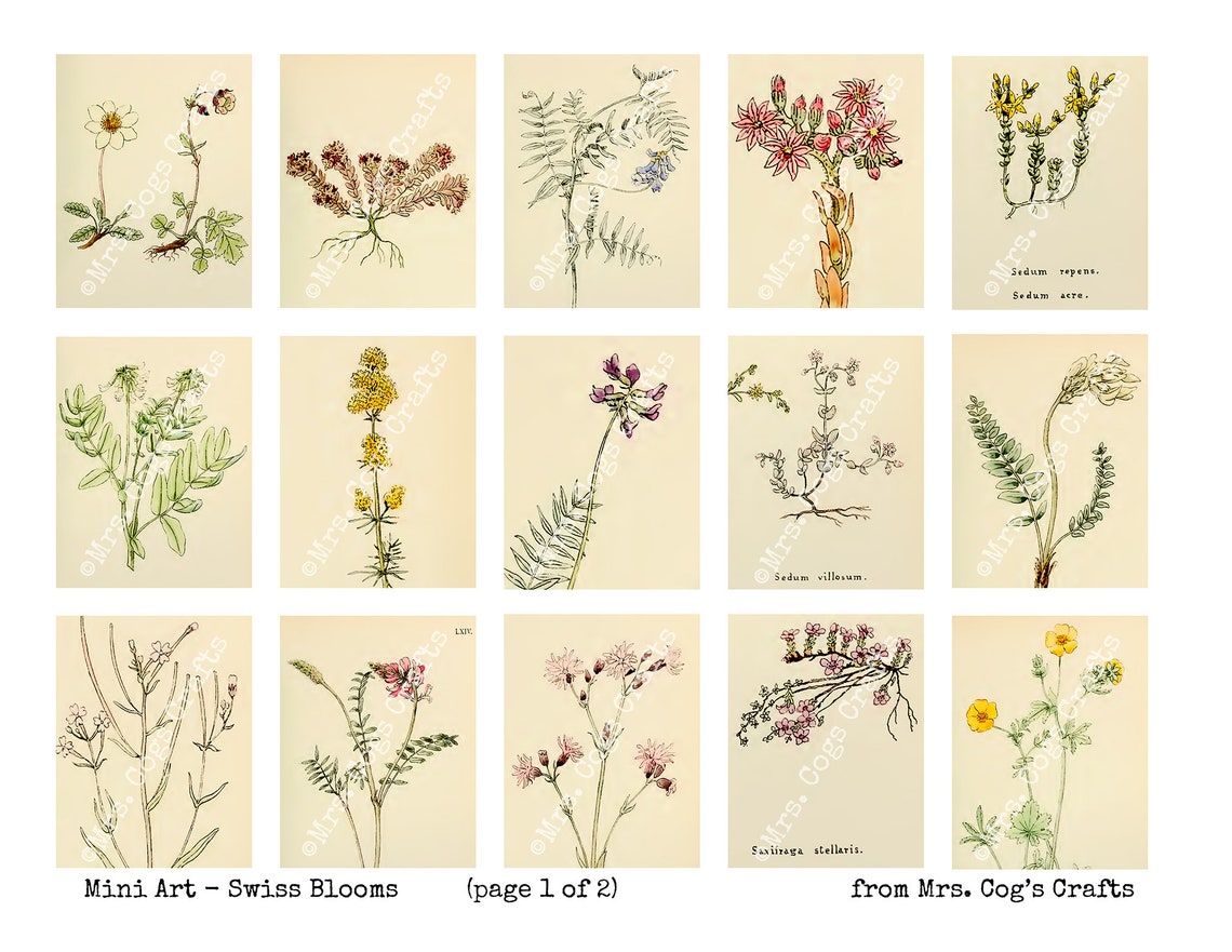 Mini Art Swiss Blooms Printable Images Digital Download - Etsy