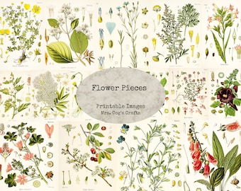 Flower Pieces  - Printable Images, Digital Ephemera, Vintage Art, Instant Download, Digital Paper, Digital Collage, Flower Illustrations