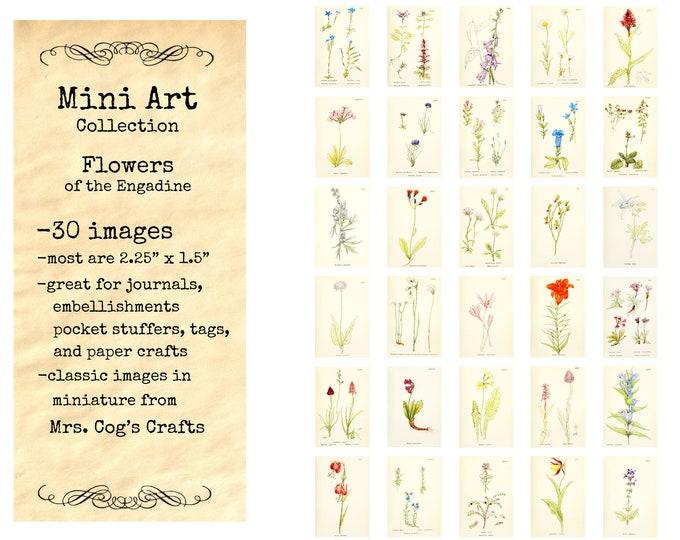 Mini Art - Small Images