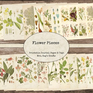 Flower Pieces Journal - Printable Journal Pages, Digital Journal, Vintage Images, Printable Paper, Art Journal, Flower Illustrations