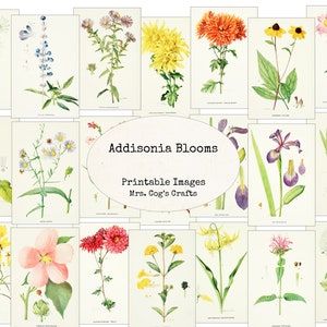 Addisonia Blooms - classiques numériques éphémères, images imprimables, art vintage, collage numérique, art éphémère