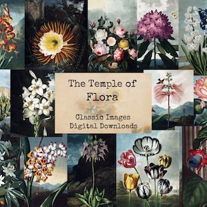 The Temple of Flora - Digital Ephemera Classics, Digital Images, Vintage Art, Instant Download, Digital Collage, Art Ephemera