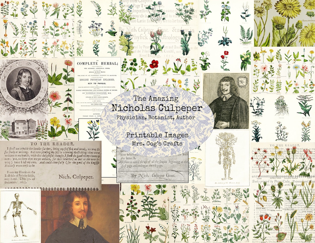 Nicholas Culpeper, Botanist - Printable Images, Digital Ephemera ...