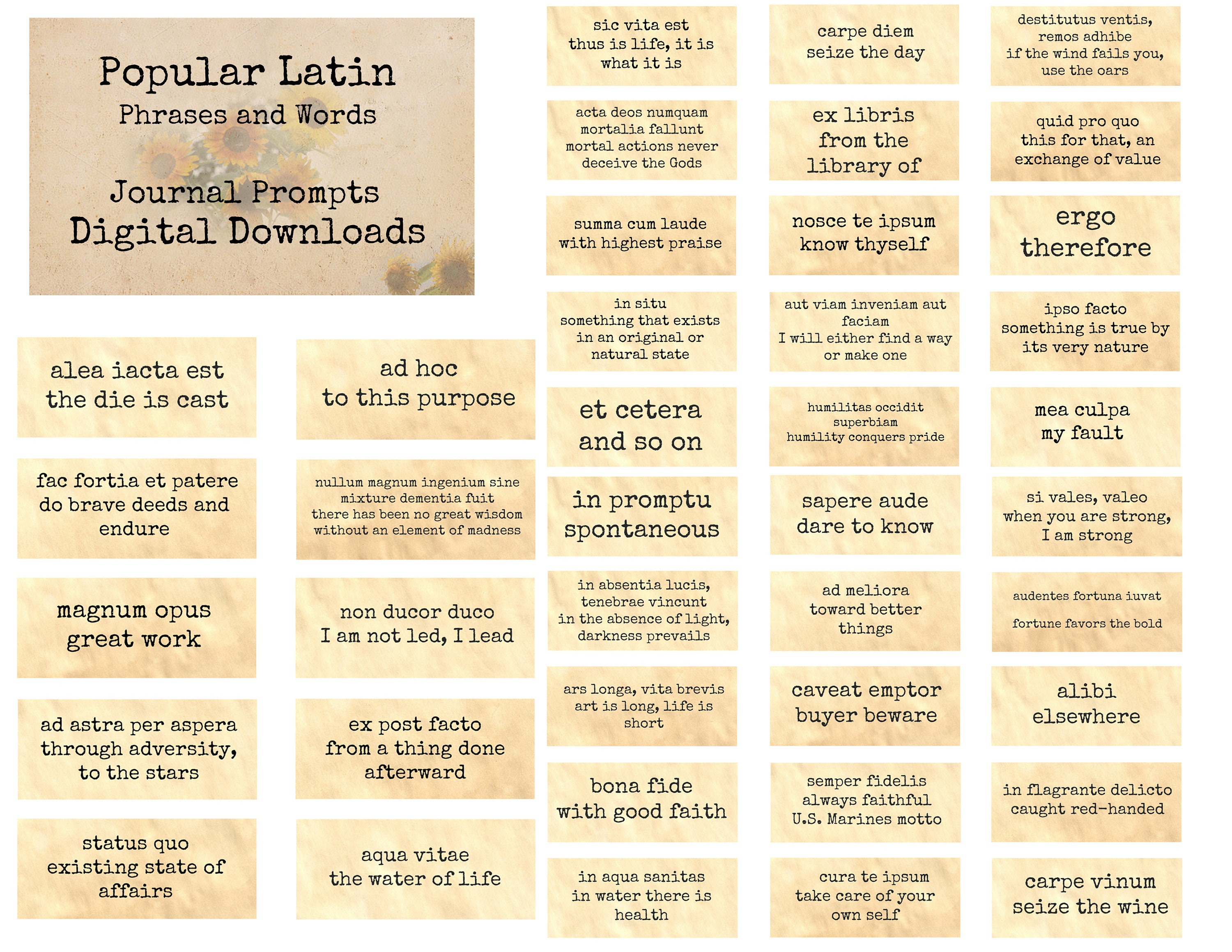 Popular Latin Phrases Words Journal Prompts Printable Etsy Canada