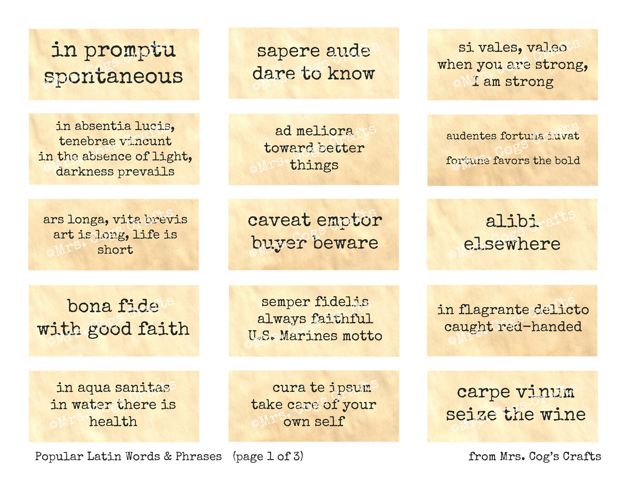 Popular Latin Phrases Words Journal Prompts Printable Etsy