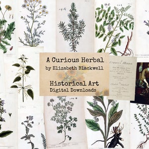 A Curious Herbal - Digital Ephemera, Imagens Digitais, Arte Vintage, Download Instantâneo, Papel Digital, Colagem Digital, Imagens Históricas