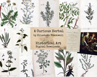 A Curious Herbal - Digital Ephemera, Digital Images, Vintage Art, Instant Download, Digital Paper, Digital Collage, Historical Images