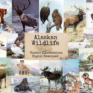 Alaskan Wildlife - Digital Ephemera Classics, Digital Images, Vintage Art, Instant Download, Digital Collage, Art Ephemera