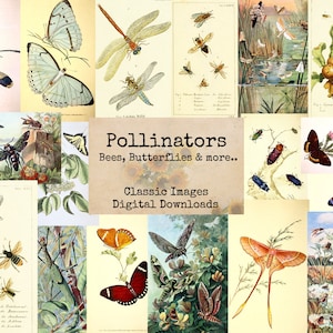 Pollinisateurs - Digital Ephemera Classics, Digital Images, vintage Art, Instant Download, Digital Collage, Art Ephemera