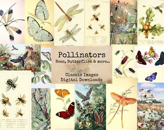 Pollinators - Digital Ephemera Classics, Digital Images, Vintage Art, Instant Download, Digital Collage, Art Ephemera