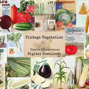 légumes vintage - classiques numériques éphémères, images numériques, art vintage, téléchargement immédiat, collage numérique, art éphémère