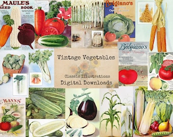 Vintage Vegetables - Digital Ephemera Classics, Digital Images, Vintage Art, Instant Download, Digital Collage, Art Ephemera