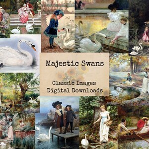 Majestic Swans - Digital Ephemera Classics, Digital Images, vintage Art, Instant Download, Digital Collage, Art Ephemera