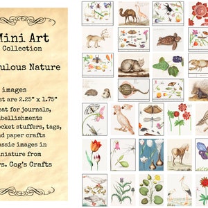 Mini Art - Fabulous Nature - Printable Images, Digital Download, Miniature Images, Vintage Images, Embellishments