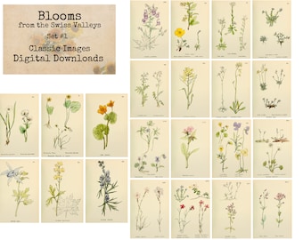ATC Book Pages Vintage Art Rare and Beautiful Flowers Set2 Ephemera Classics Plants Digital Images Scrapbook Digital Collage