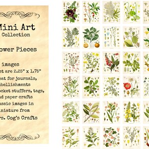 Mini Art - Flower Pieces - Printable Images, Digital Download, Miniature Images, Vintage Images, Embellishments, Flower Images