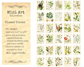 Mini Art - Flower Pieces - Printable Images, Digital Download, Miniature Images, Vintage Images, Embellishments, Flower Images
