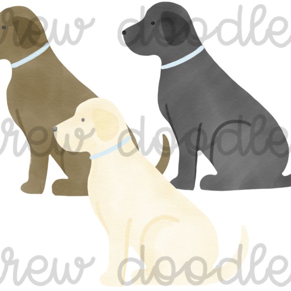 Watercolor Blue Collar Labrador Dog- Digital Clip Art Set- Instant Download