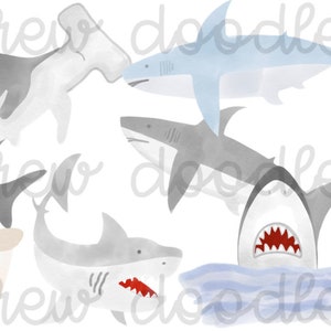 Conjunto de imágenes prediseñadas digitales de tiburones en acuarela: descarga instantánea