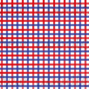May include: Red and blue checkered pattern background. The pattern is made up of alternating red and blue horizontal and vertical lines.