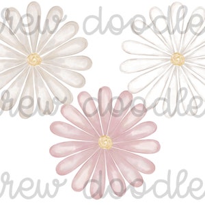Conjunto de clipart digital de flores de margaridas em aquarela - download instantâneo
